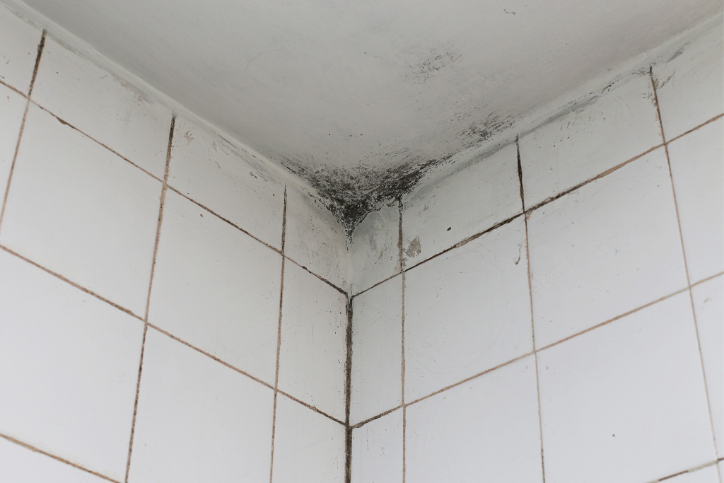Comment éviter la moisissure sur le plafond de votre salle de