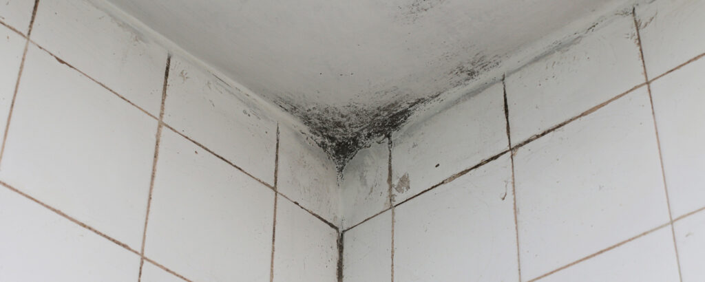 Moisissures au plafond de la salle de bain : plusieurs solutions